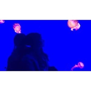 Meet your Posher, Clarryz